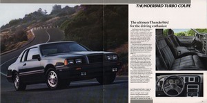 1986 Ford Thunderbird-12-13.jpg